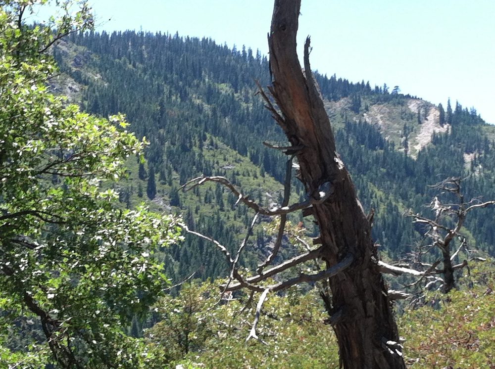 Photo from Hell Hole Trail