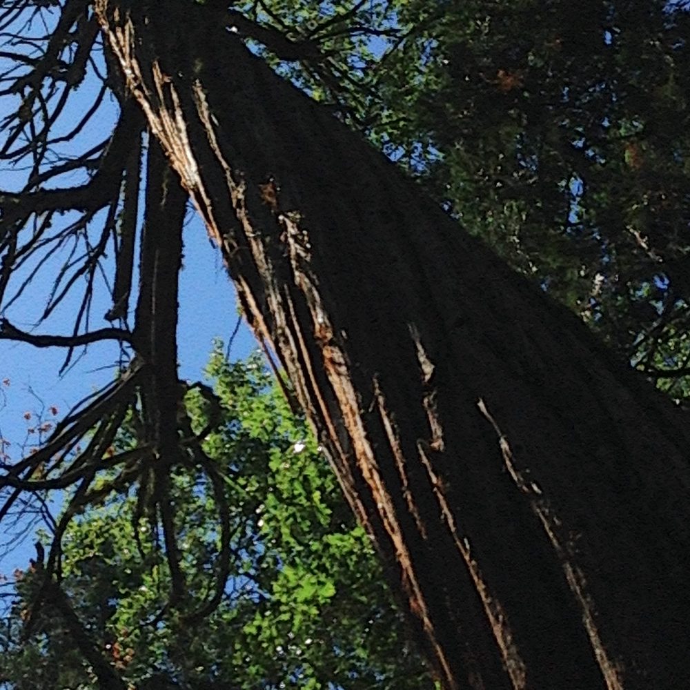 Photo from Hell Hole Trail