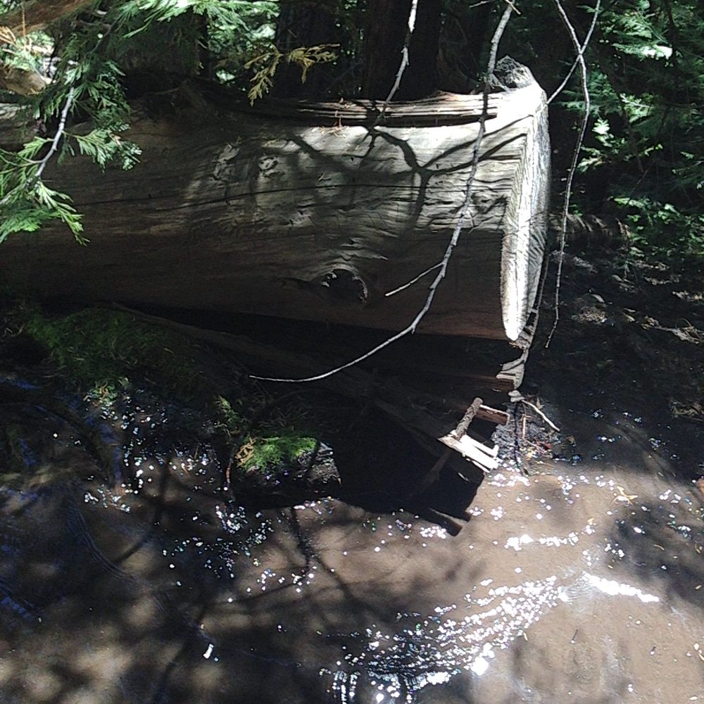 Photo from Hell Hole Trail
