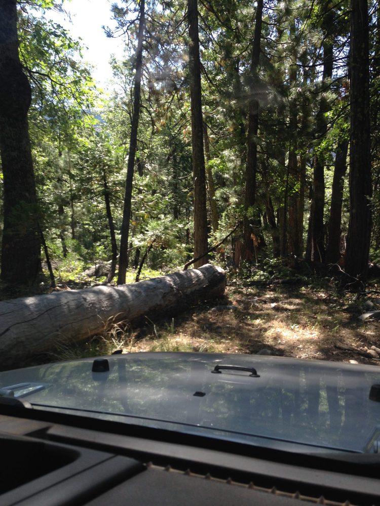 Photo from Hell Hole Trail