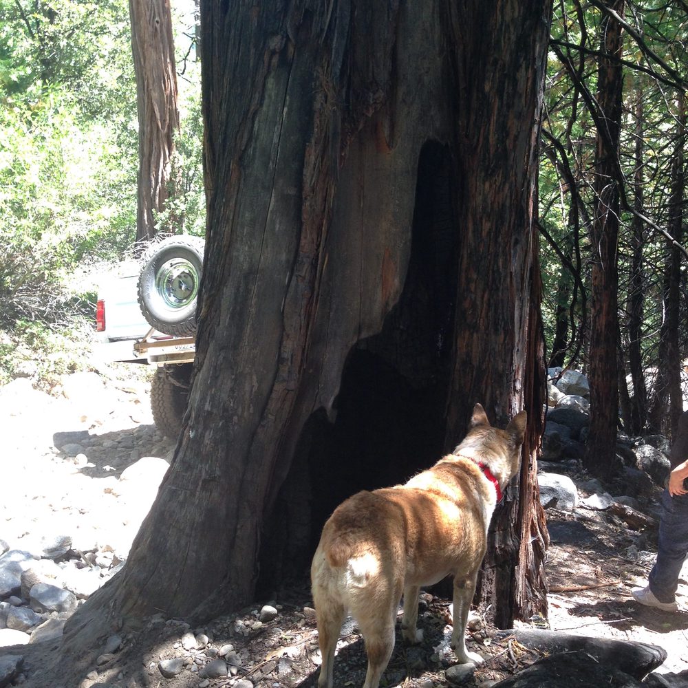 Photo from Hell Hole Trail