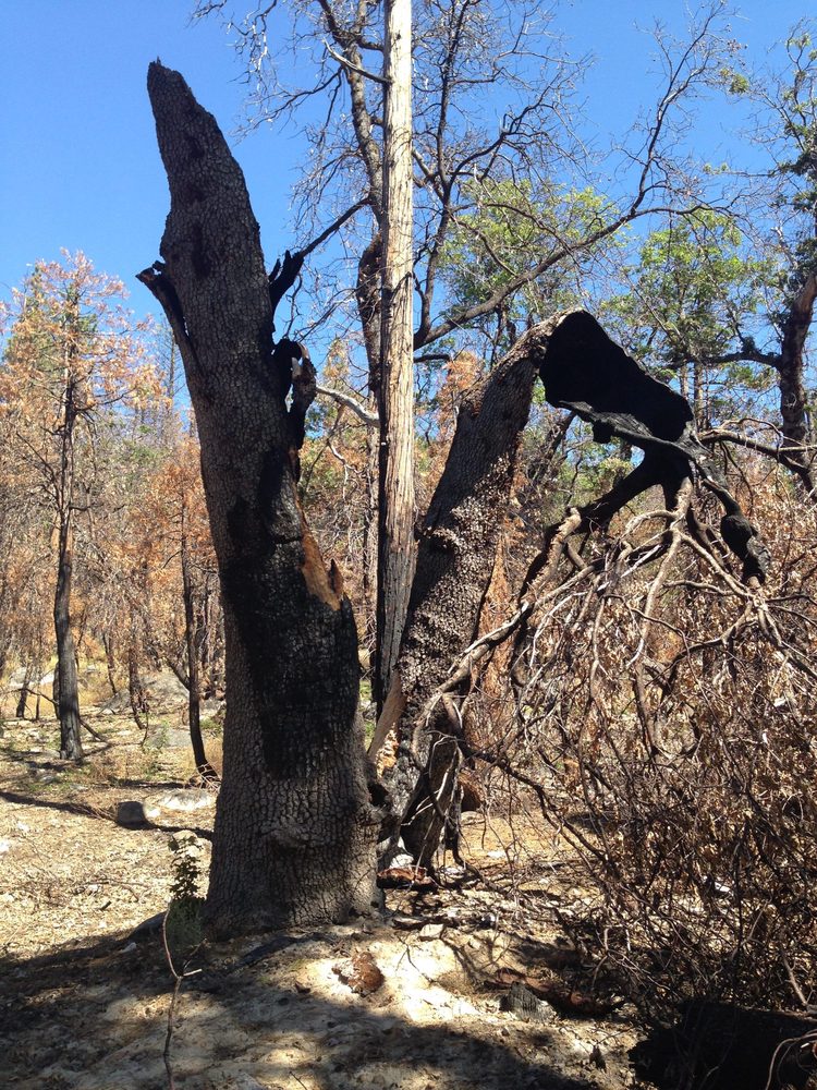 Photo from Hell Hole Trail