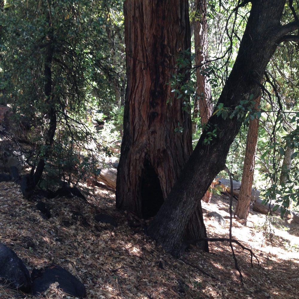 Photo from Hell Hole Trail