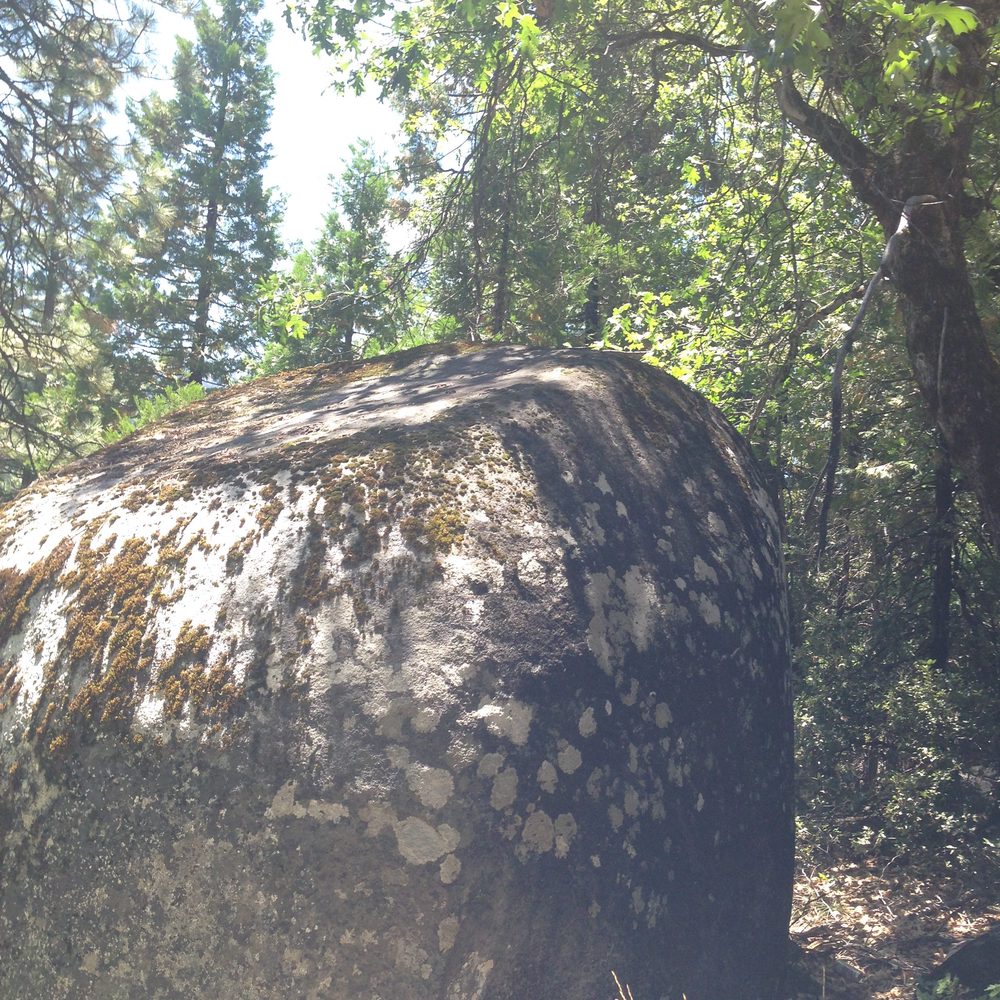 Photo from Hell Hole Trail