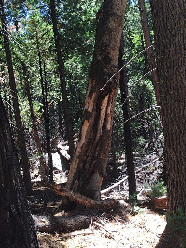 Photo from Hell Hole Trail