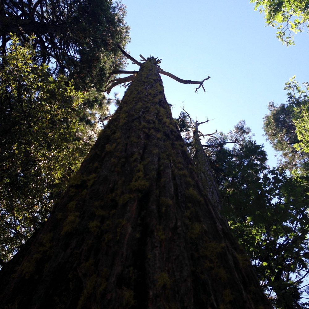 Photo from Hell Hole Trail