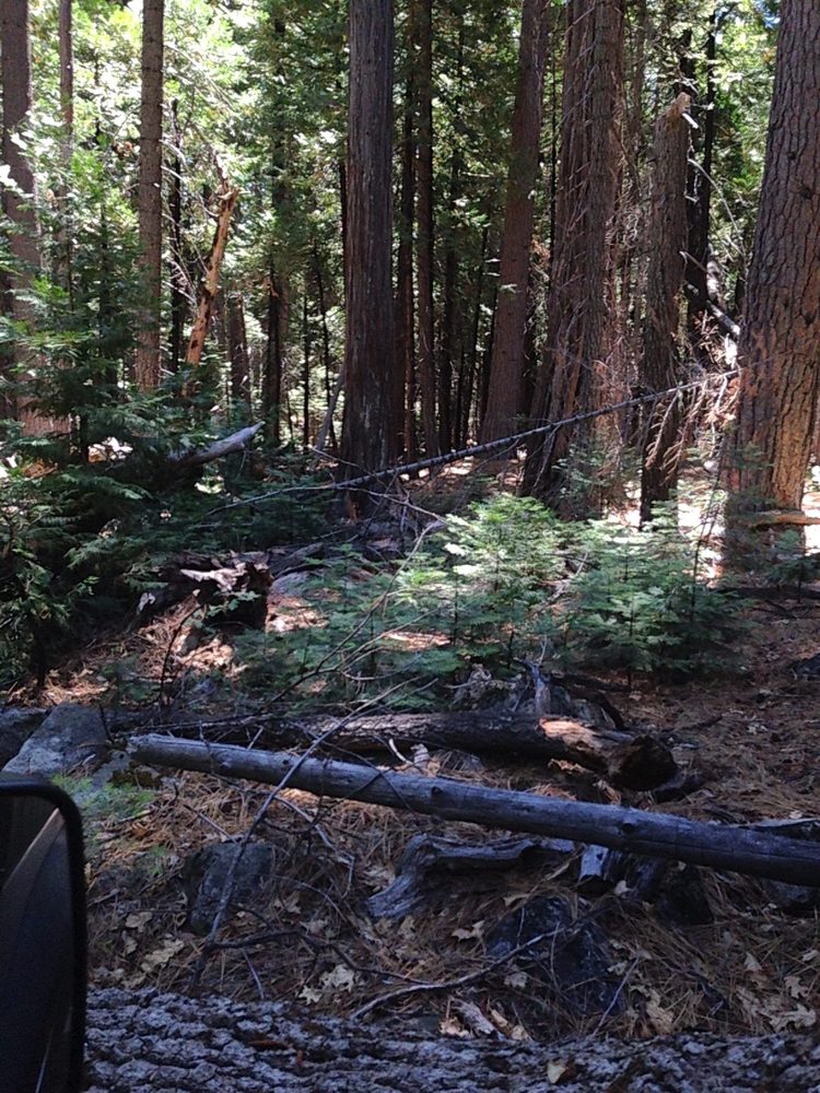 Photo from Hell Hole Trail