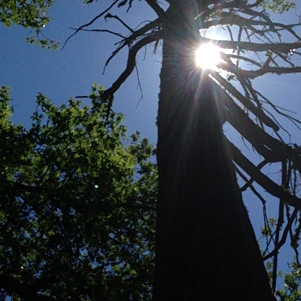 Photo from Hell Hole Trail