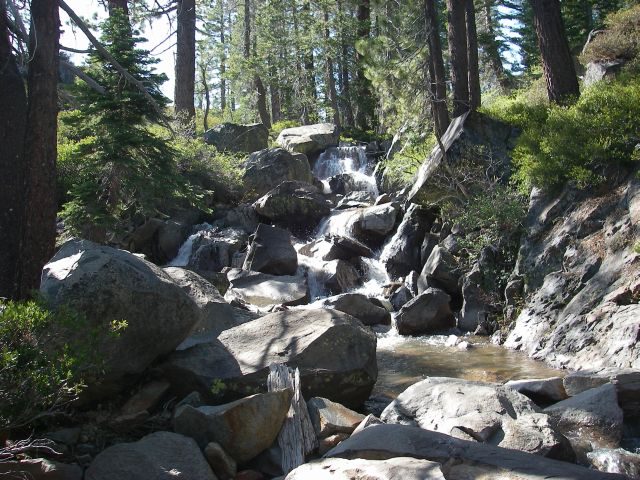 fordyce040