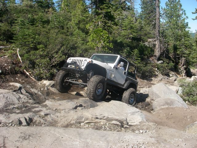 fordyce005