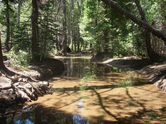 fordyce017