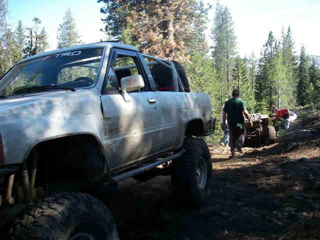 fordyce050