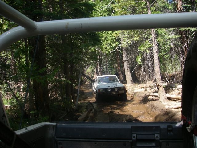 fordyce009