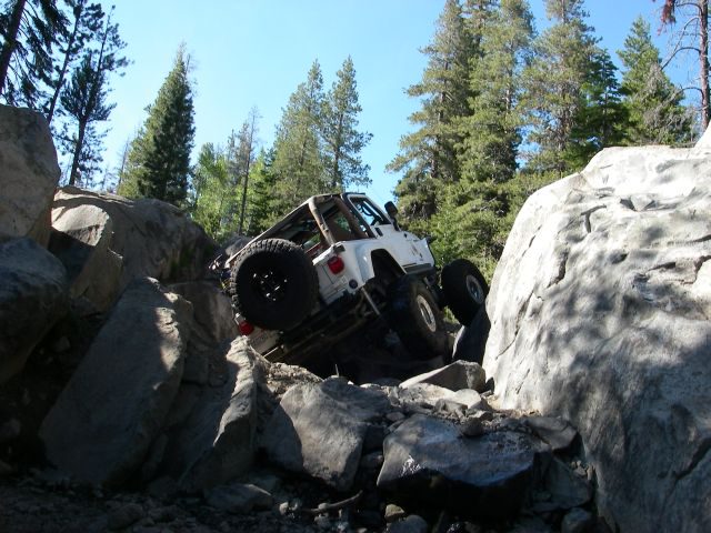 fordyce043