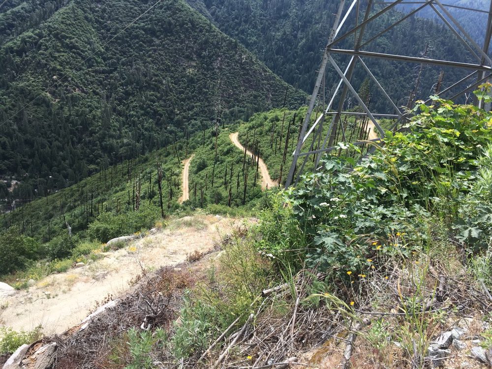 Photo from Tobin Ridge
