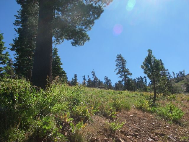 signalpeak013