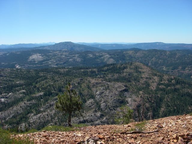 signalpeak020