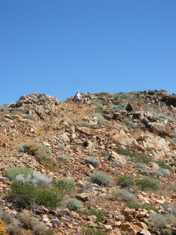 signalpeak026