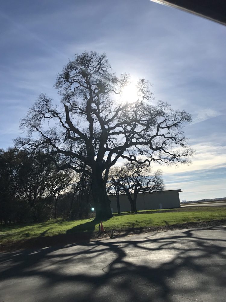 Photo from Sanders Airfield Tour