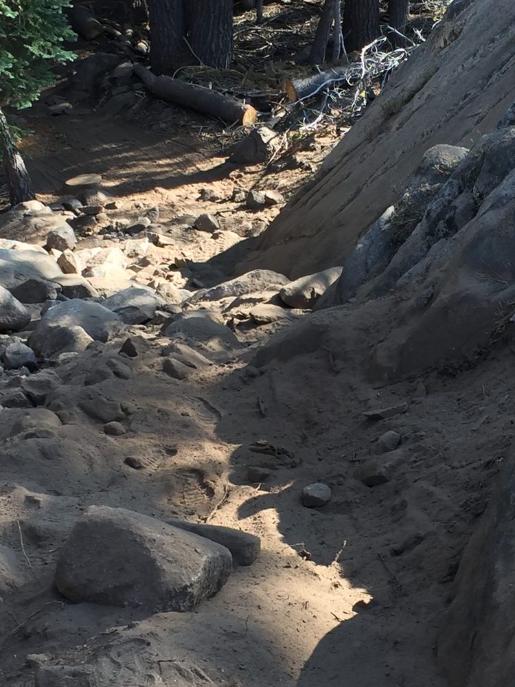 Photo from Slick Rock Trail