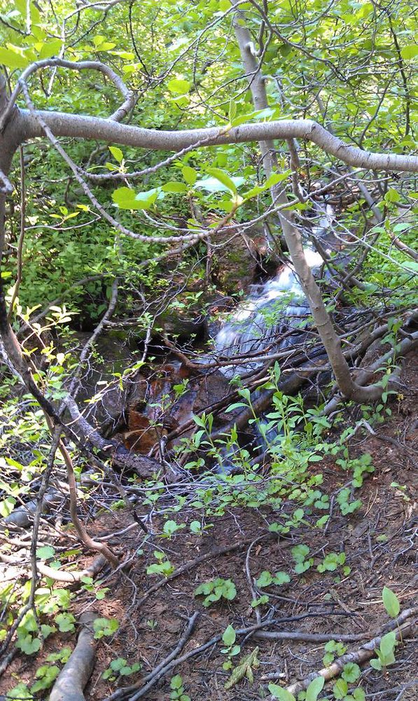 Photo from Strawberry Trail