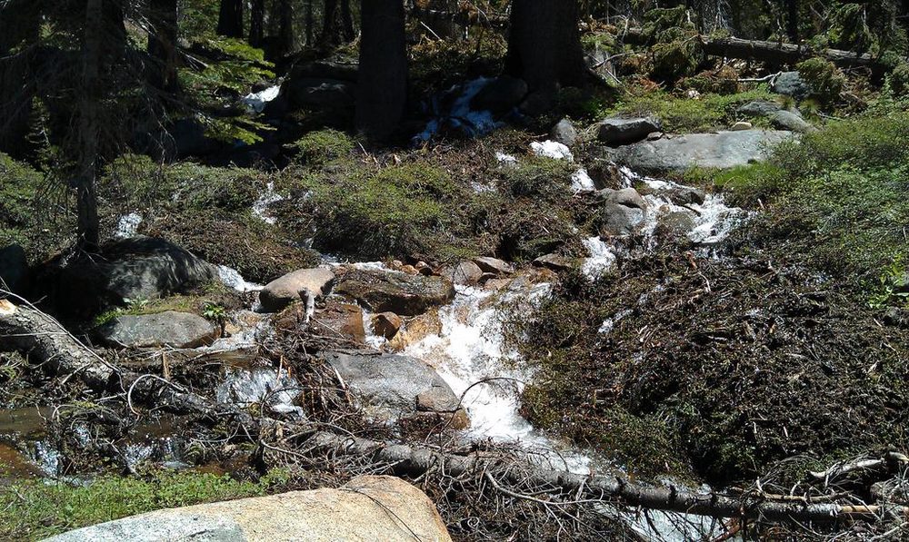 Photo from Strawberry Trail
