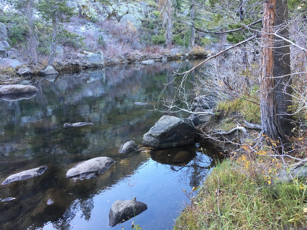 Photo from Fordyce Trail