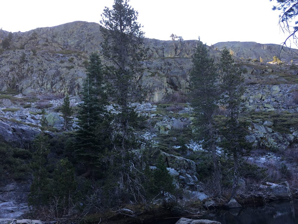Photo from Fordyce Trail