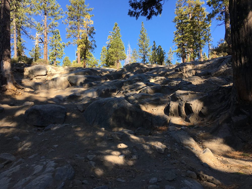 Photo from Fordyce Trail