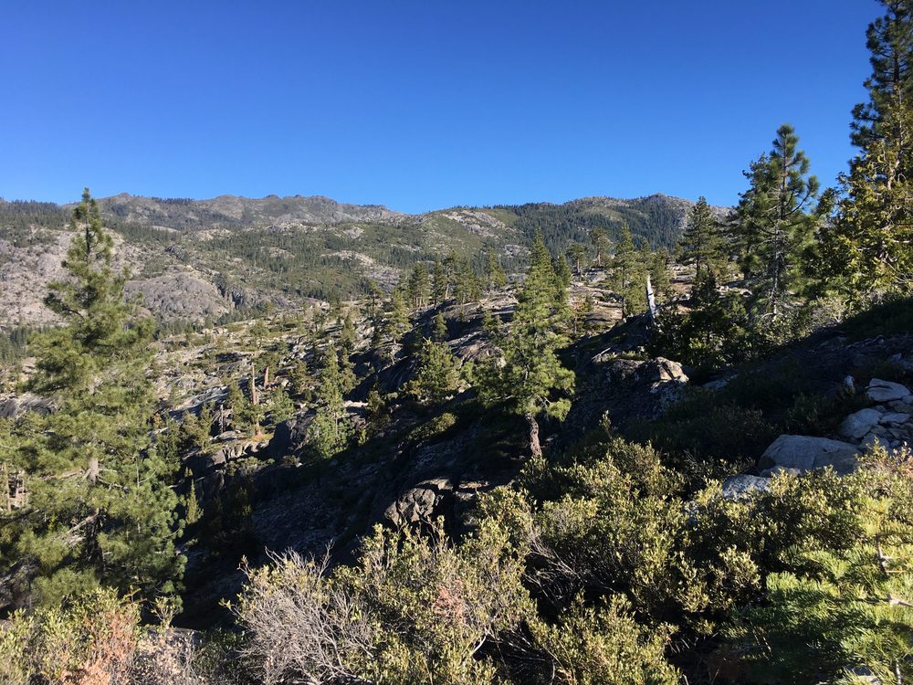 Photo from Fordyce Trail