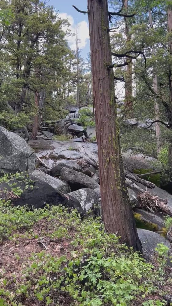 Video from Hell Hole Trail Run