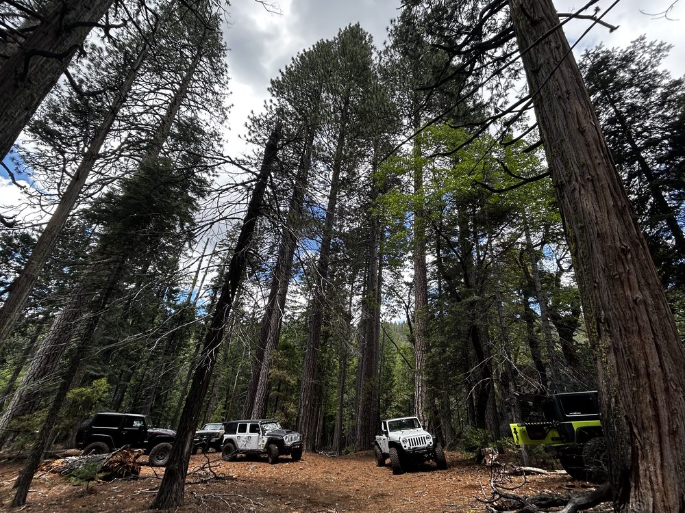 Photo from Hell Hole Trail Run