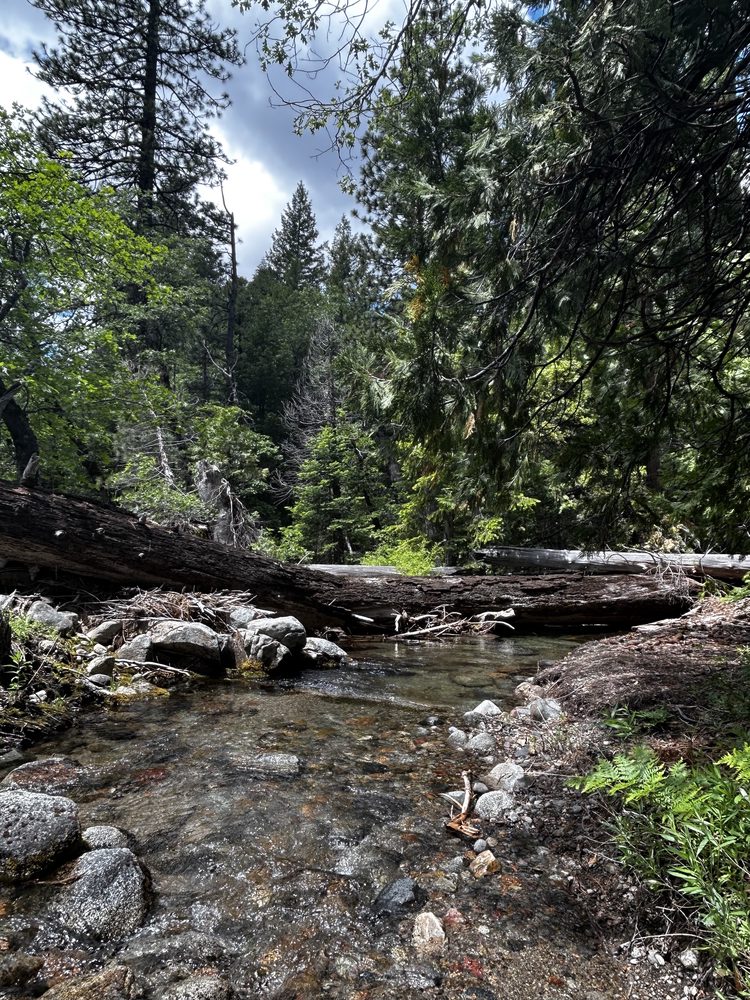 Photo from Hell Hole Trail Run