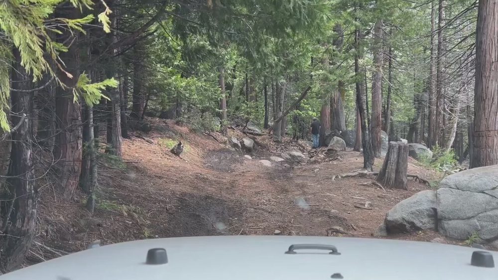 Video from Hell Hole Trail Run