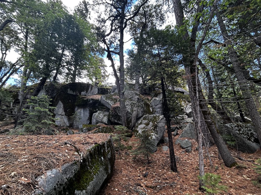Photo from Hell Hole Trail Run