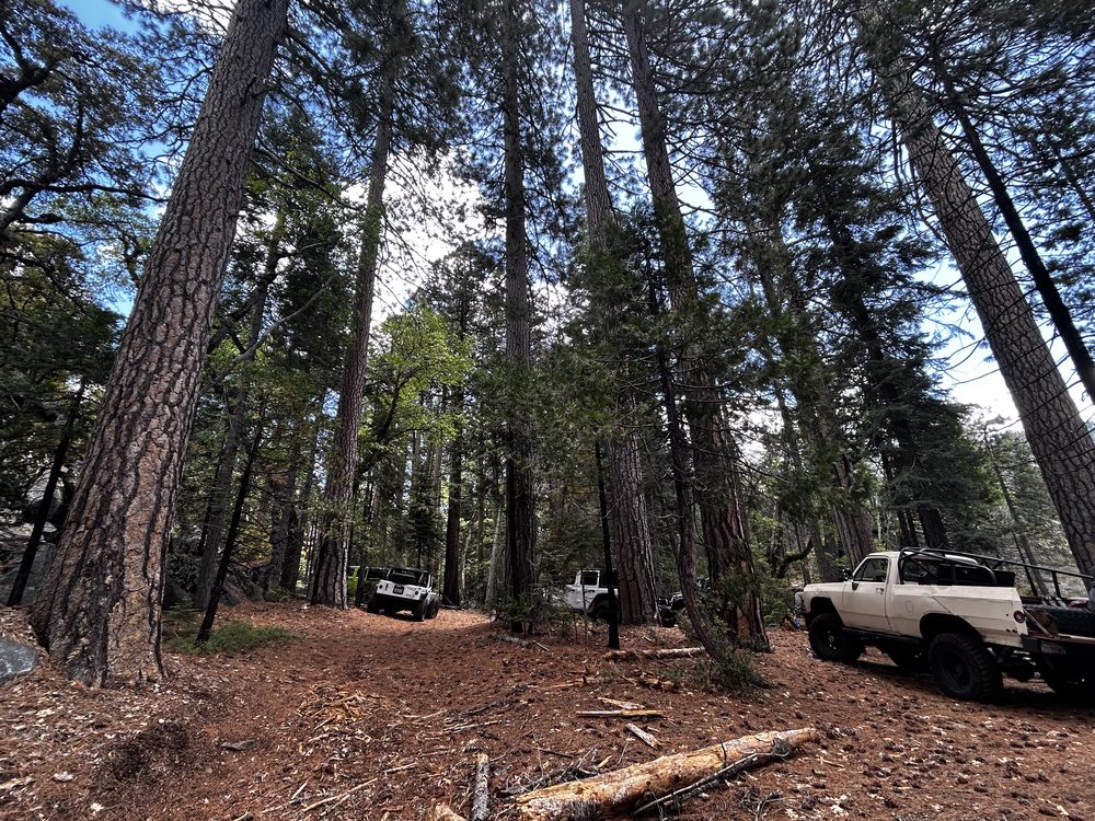 Photo from Hell Hole Trail Run