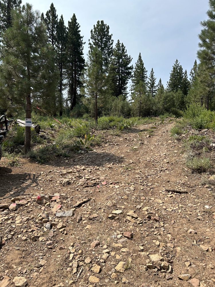 Photo from Bear Valley Loop Trail