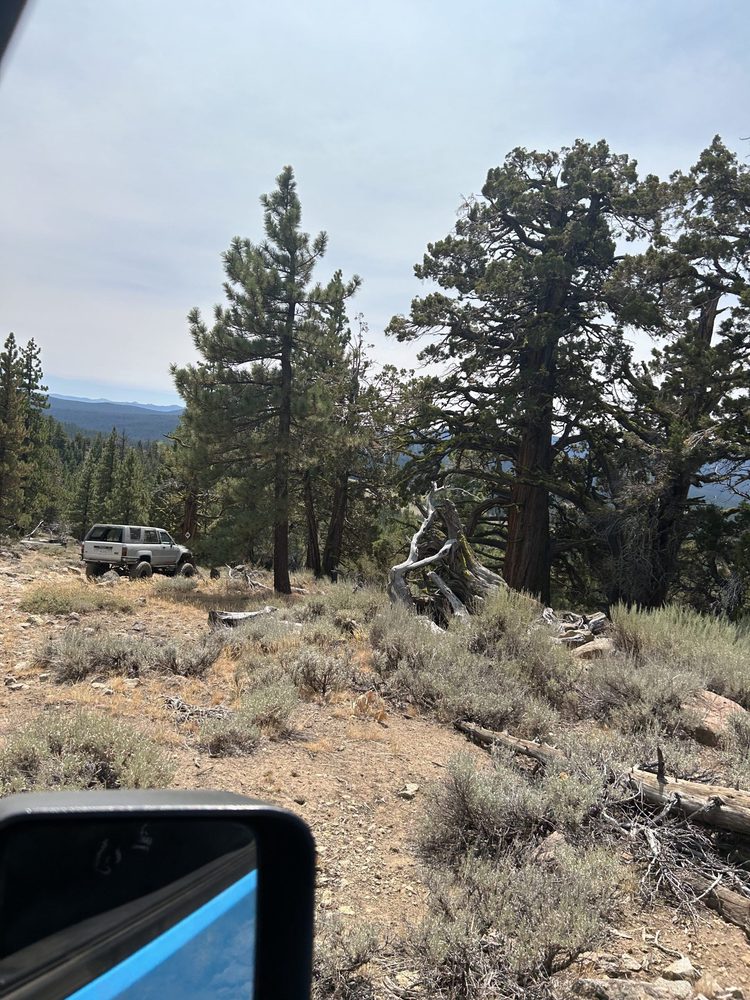 Photo from Bear Valley Loop Trail