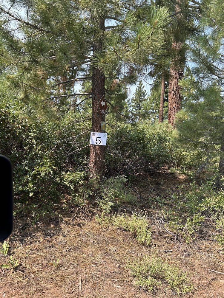 Photo from Bear Valley Loop Trail