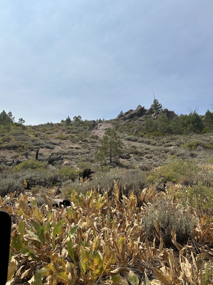 Photo from Bear Valley Loop Trail