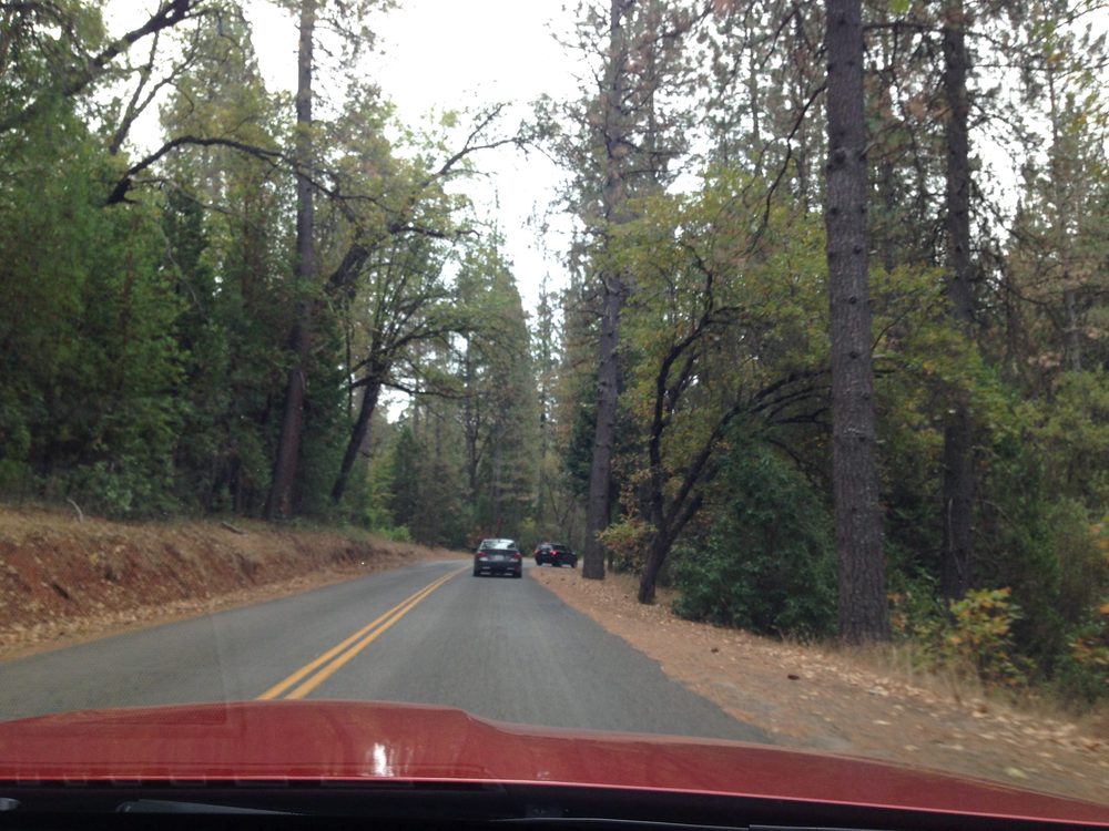 Photo from Apple Hill Run