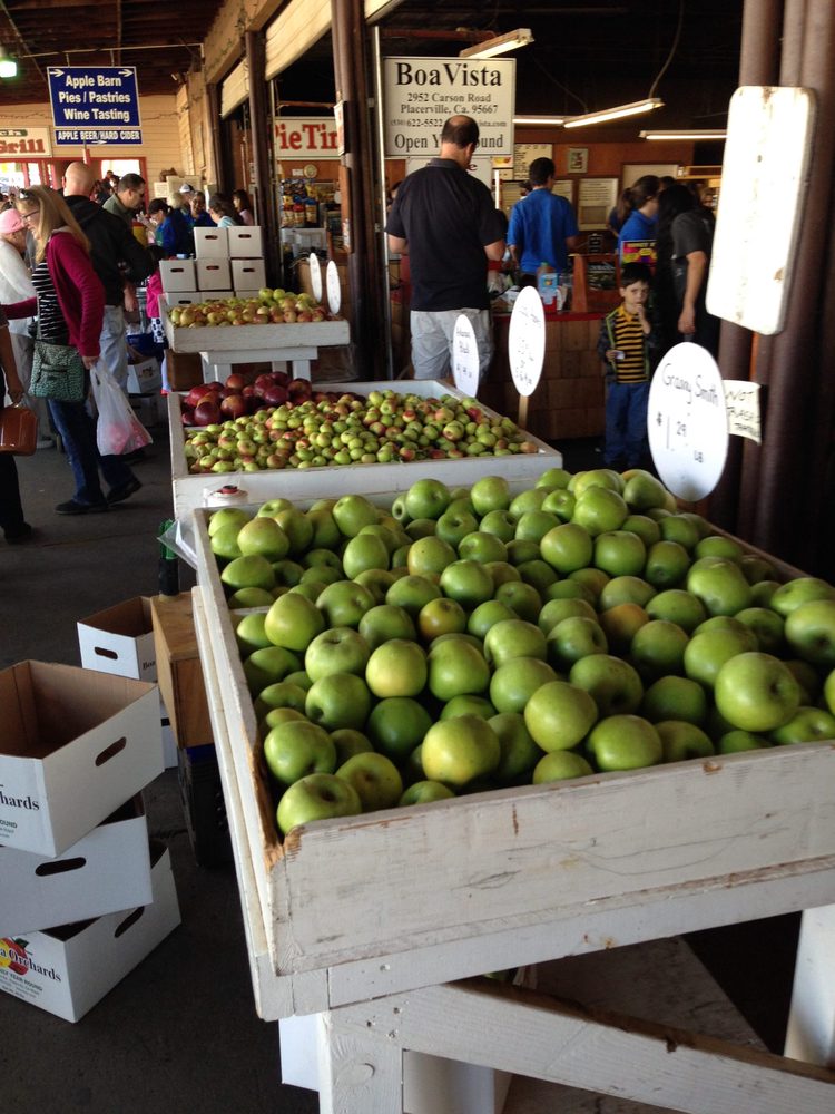 Photo from Apple Hill Run