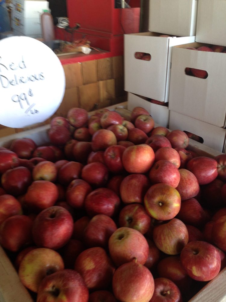 Photo from Apple Hill Run
