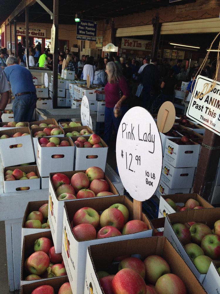 Photo from Apple Hill Run