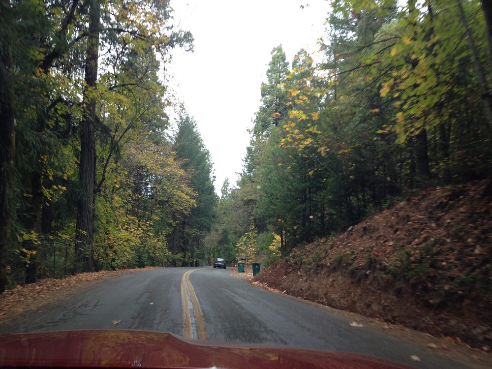 Photo from Apple Hill Run