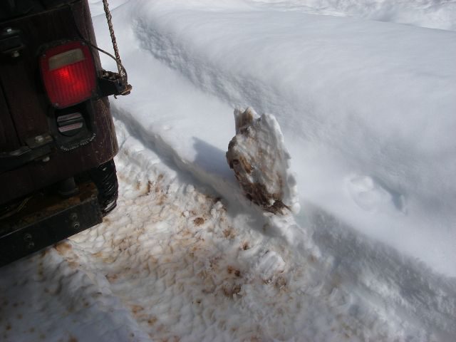 Feb21Snow029