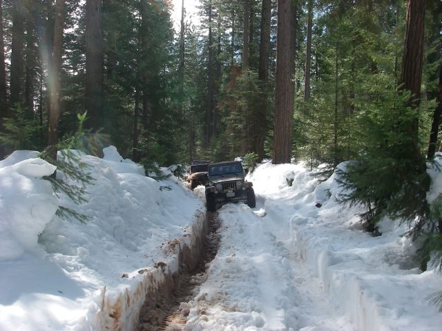 Feb21Snow014