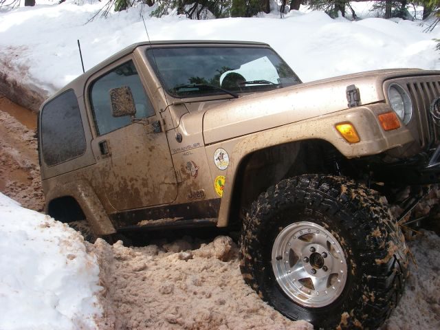 Feb21Snow034