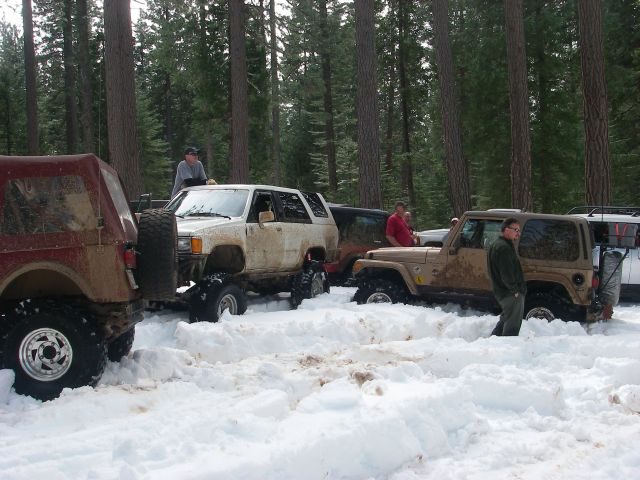 Feb21Snow021