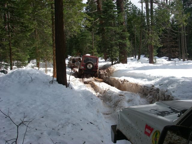 Feb21Snow024